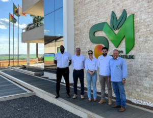 grupo santa matilde